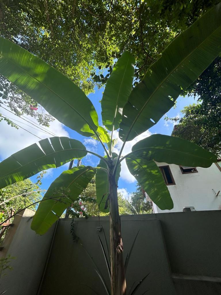 Espaço Ekos Pipa Praia de Pipa Exterior foto